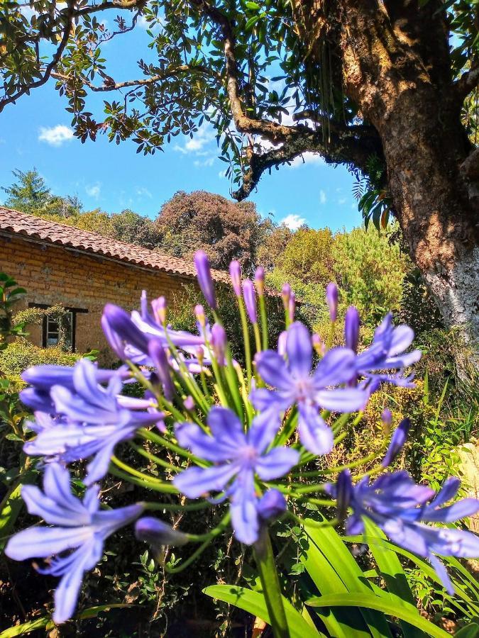 Lodge Rancho Coyotepec