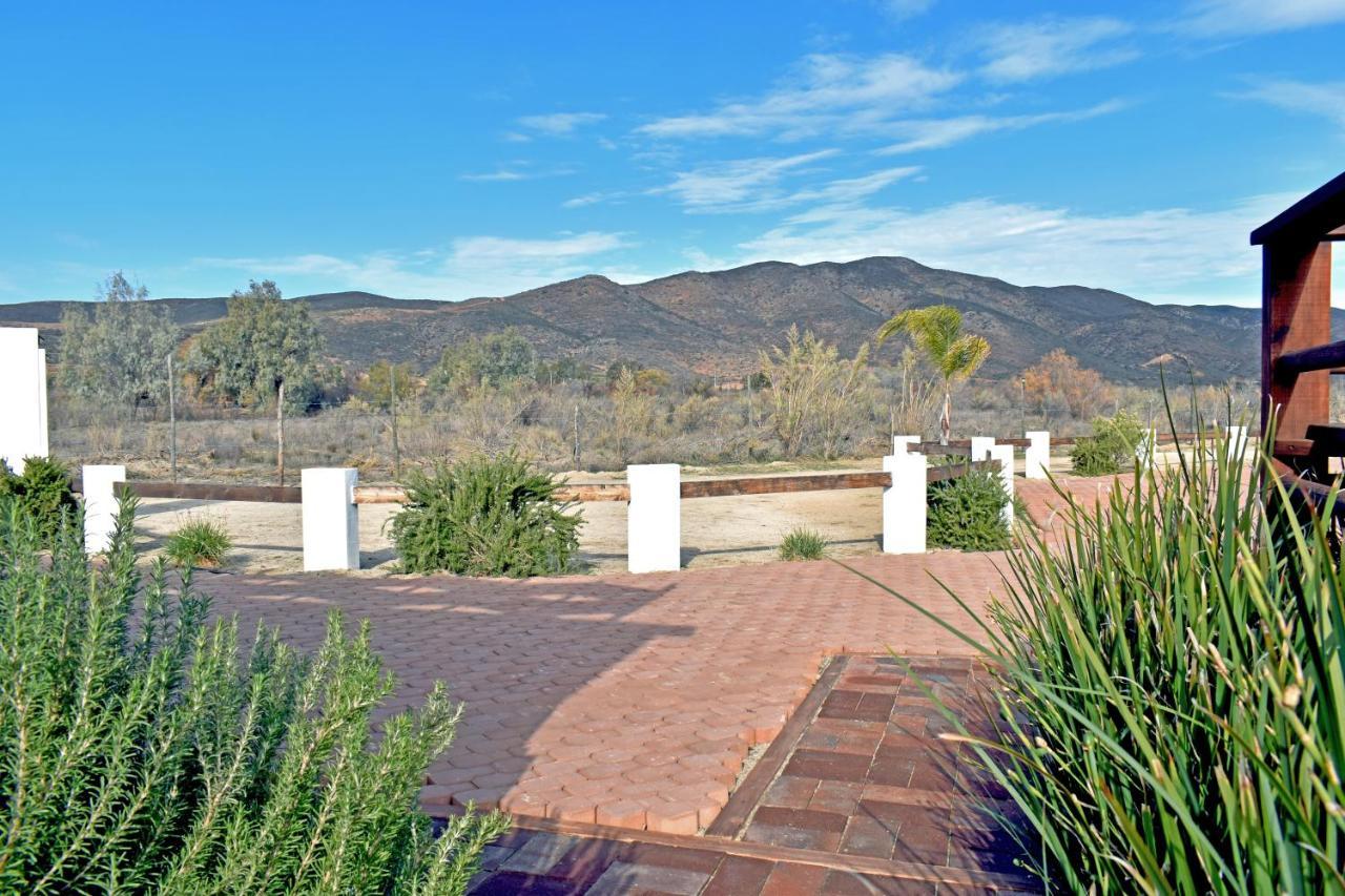 Vides Del Rio Valle de Guadalupe