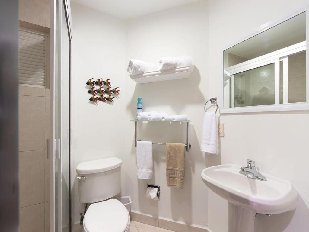 Breathtaking Magna Beachfront 3 Bedrooms Sleeps 6 * Nuevo Vallarta