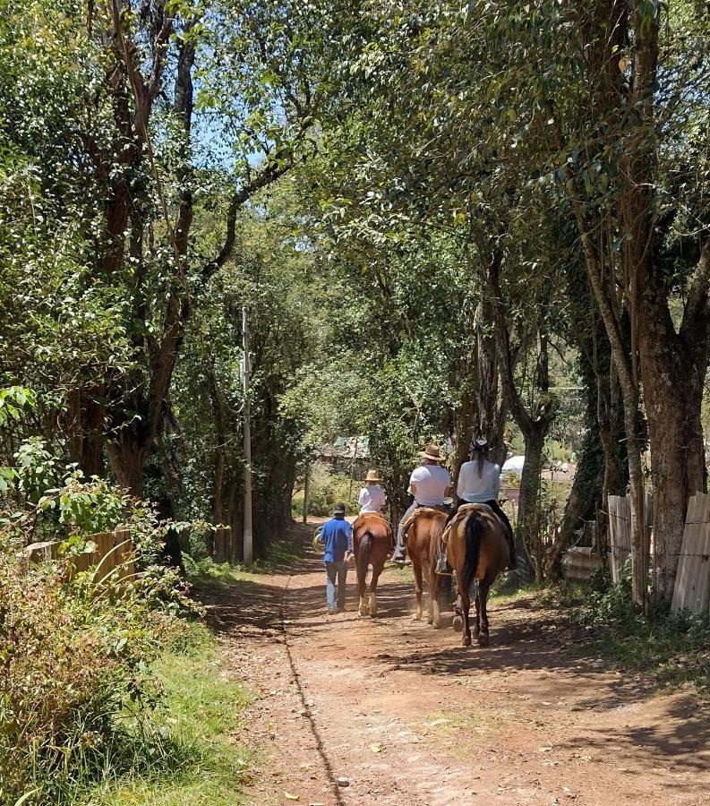 Rancho Coyotepec