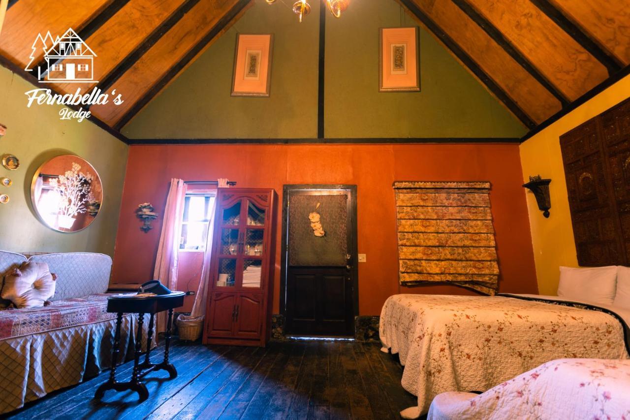 Fernabella's Lodge