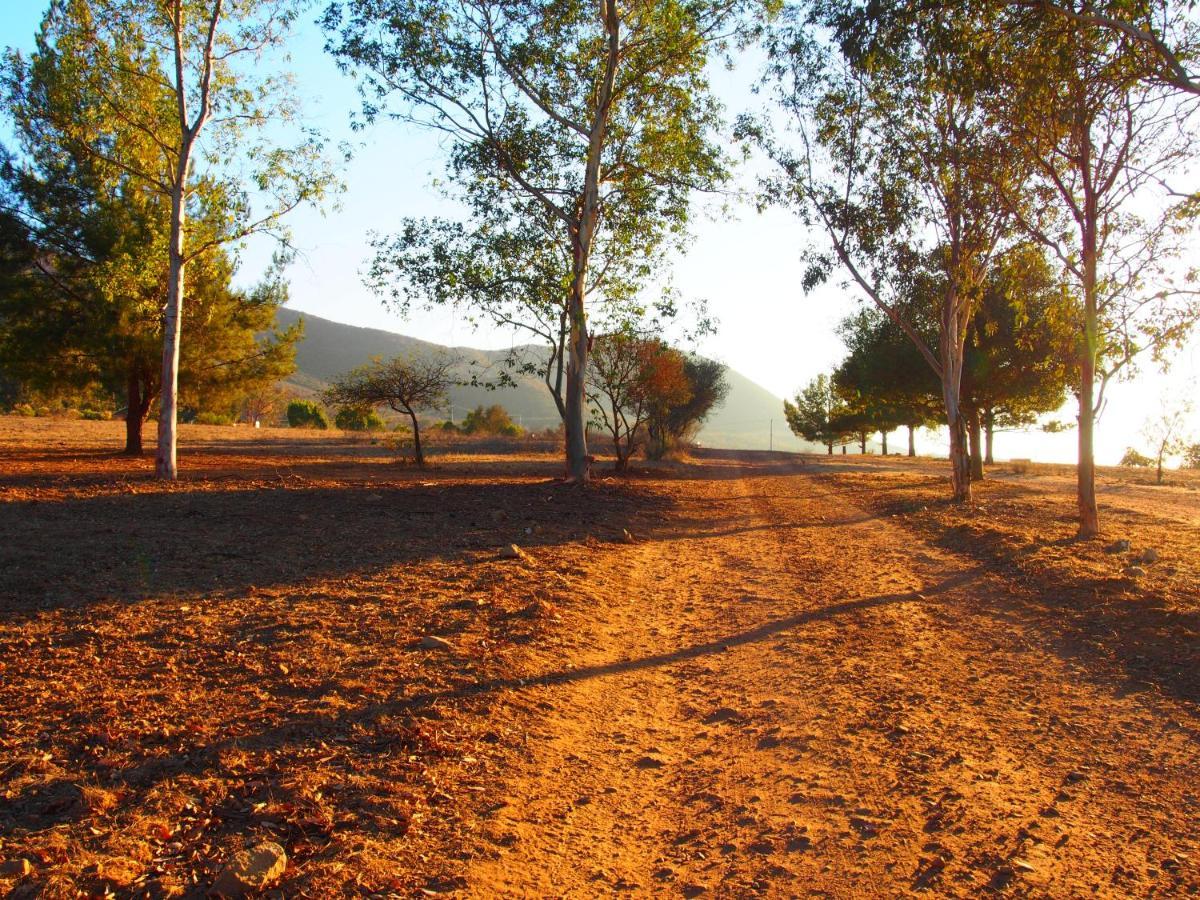 Casa Mayoral Pet Friendly 3* Valle de Guadalupe