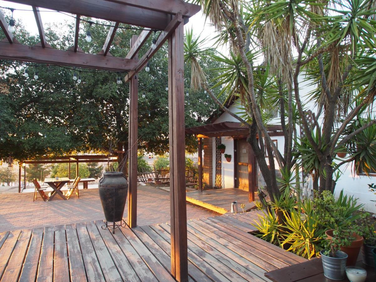 Casa Mayoral Pet Friendly Bed & Breakfast