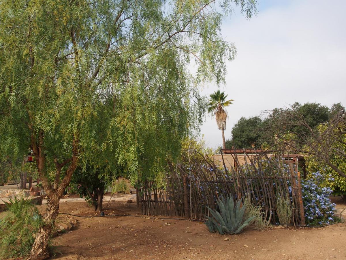 Casa Mayoral Pet Friendly 3* Valle de Guadalupe
