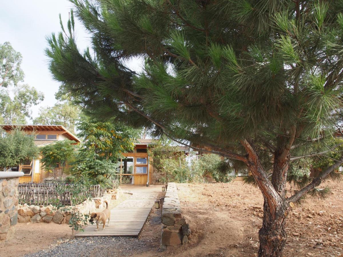 Bed & Breakfast Casa Mayoral Pet Friendly Valle de Guadalupe