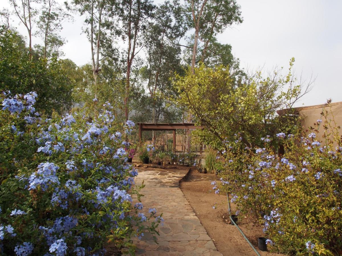 Casa Mayoral Pet Friendly Bed & Breakfast