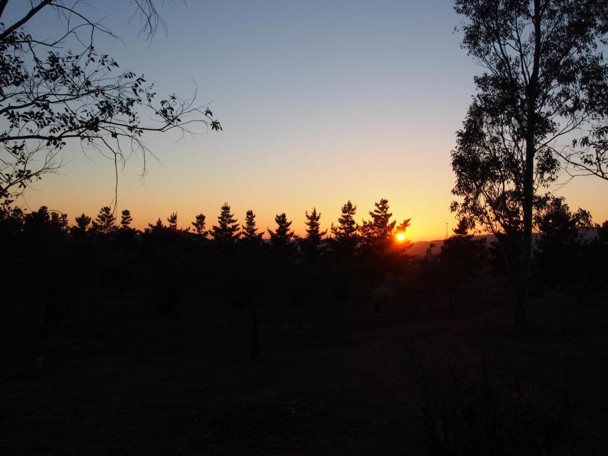Casa Mayoral Pet Friendly 3* Valle de Guadalupe