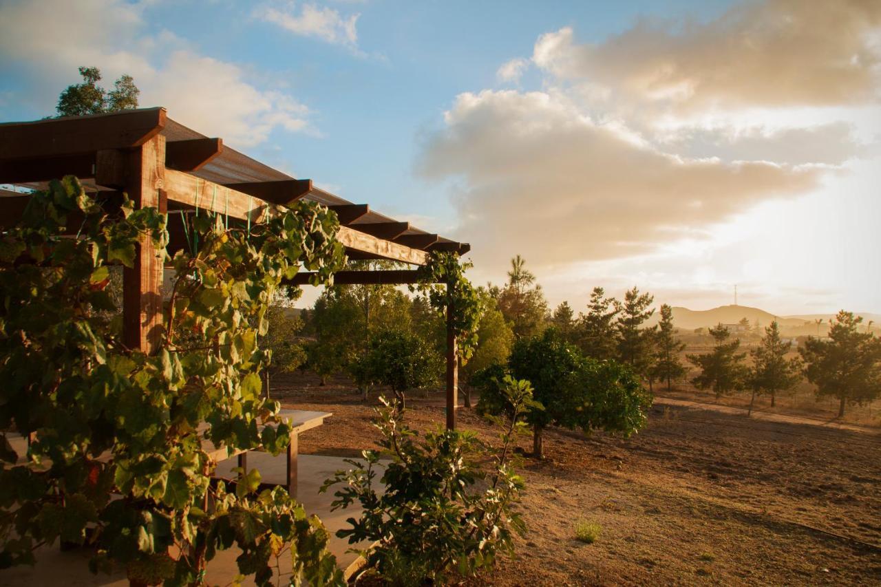 Casa Mayoral Pet Friendly Bed & Breakfast 3*