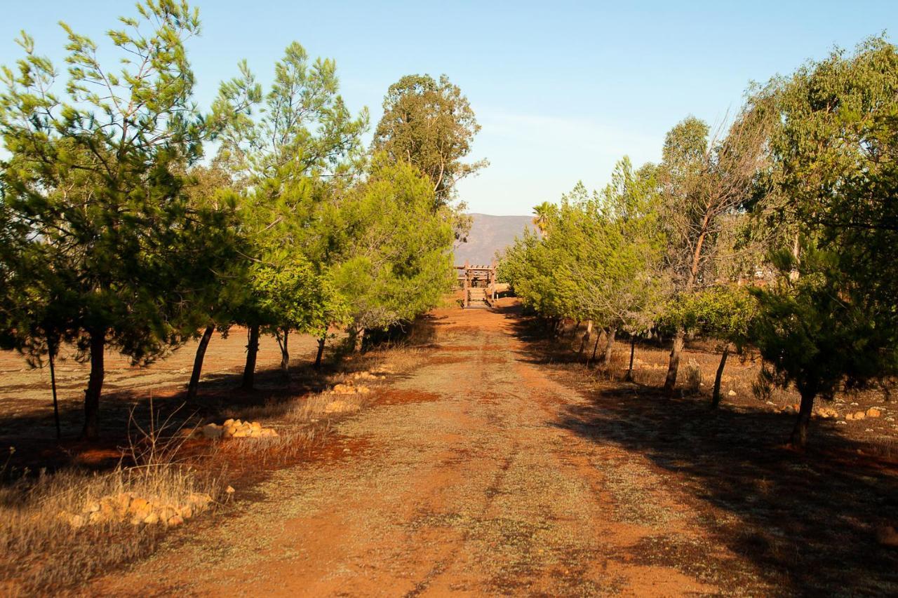 Casa Mayoral Pet Friendly 3* Valle de Guadalupe