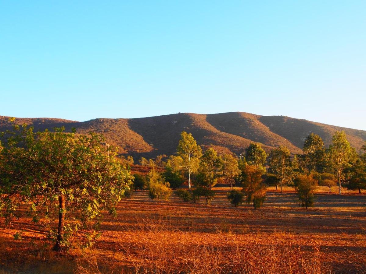 Casa Mayoral Pet Friendly Bed & Breakfast Valle de Guadalupe