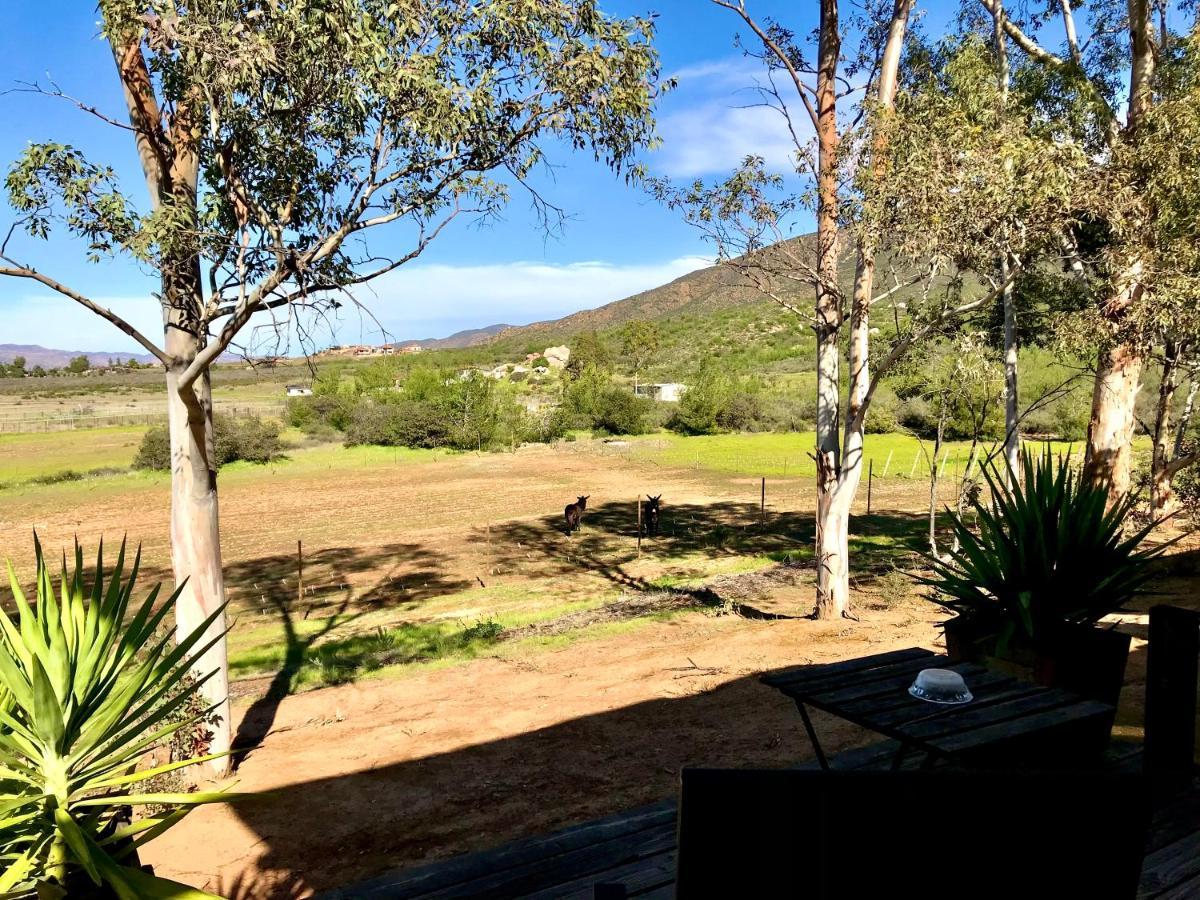 Casa Mayoral Pet Friendly Valle de Guadalupe