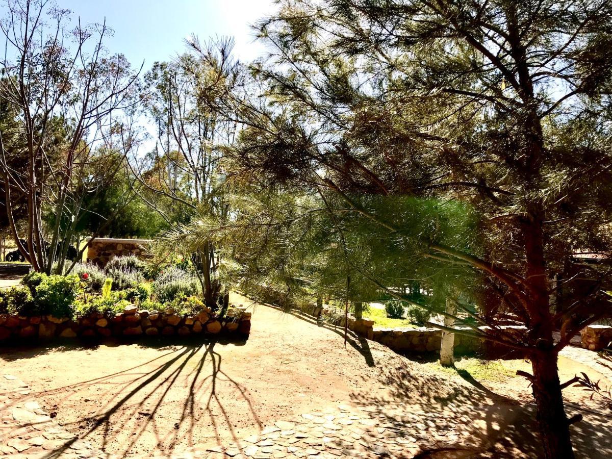 Casa Mayoral Pet Friendly Valle de Guadalupe