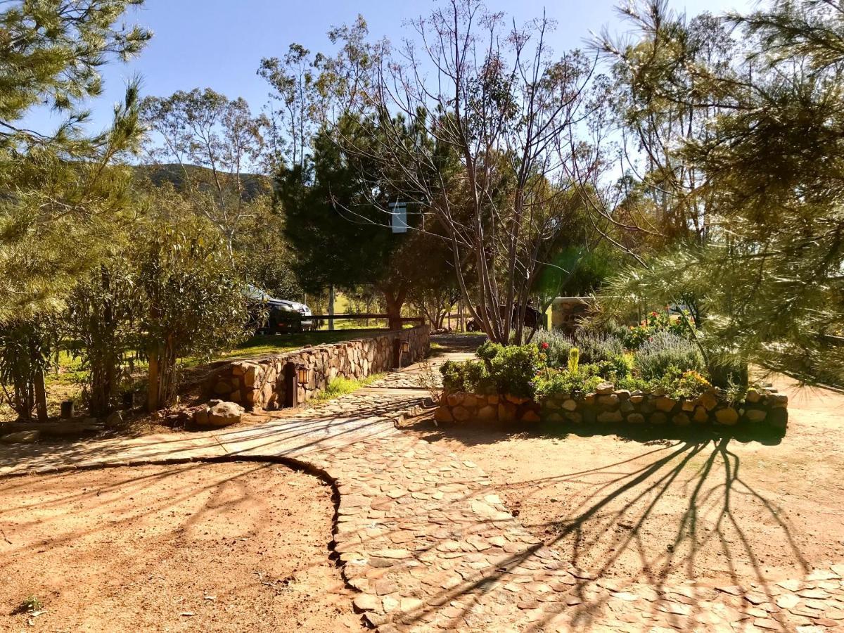Casa Mayoral Pet Friendly Bed & Breakfast Valle de Guadalupe