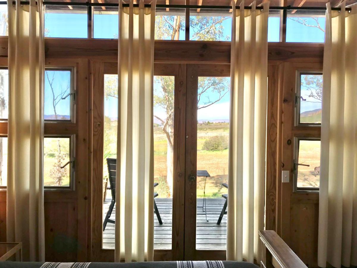 Casa Mayoral Pet Friendly Bed & Breakfast Valle de Guadalupe