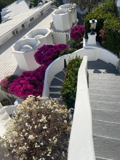 Apartment Spectacular Hadas Sunset And Ocean View Manzanillo