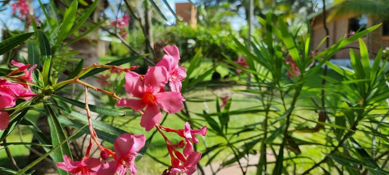 Taboga Eco Boutique & Costa Esmeralda Hotel Monte Gordo