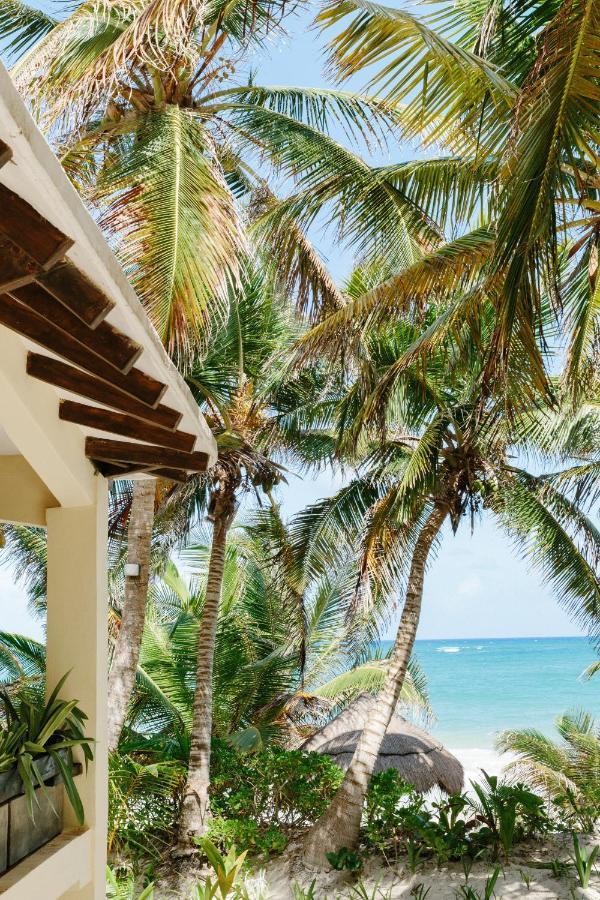 Bed & Breakfast Olas