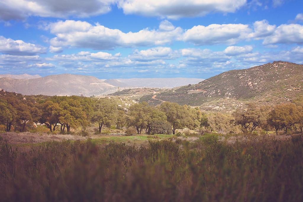Boutique Rancho 4* Tecate