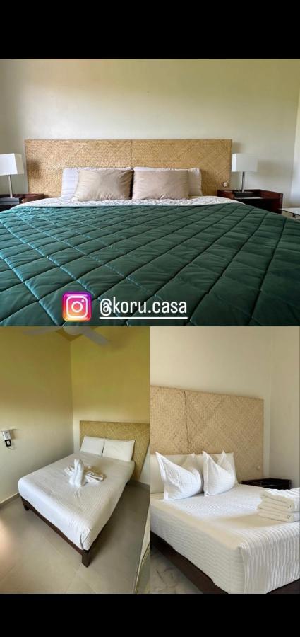 Casa Koru Apartment