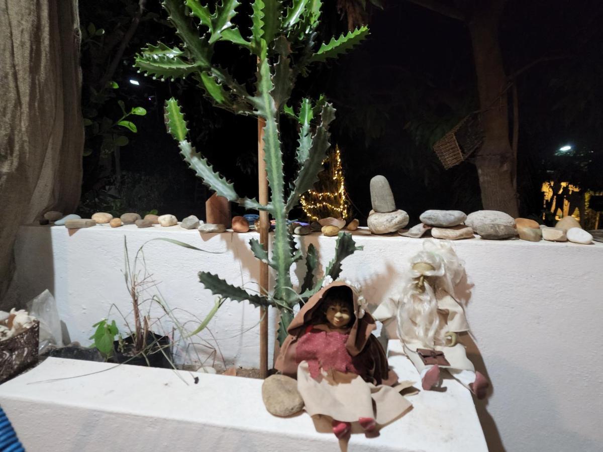 Brisas Brisas de Zicatela