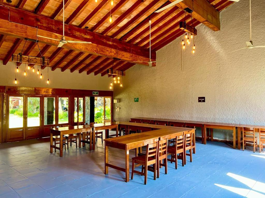 Hotel Organico Boutique
