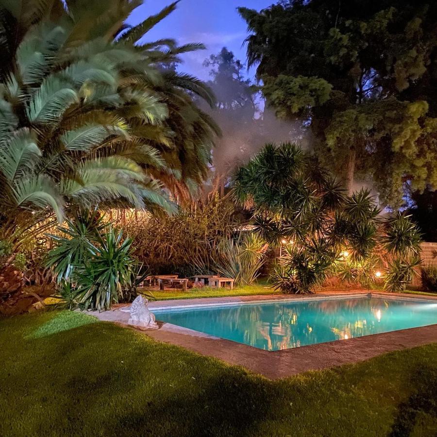 Hotel Colibri - &