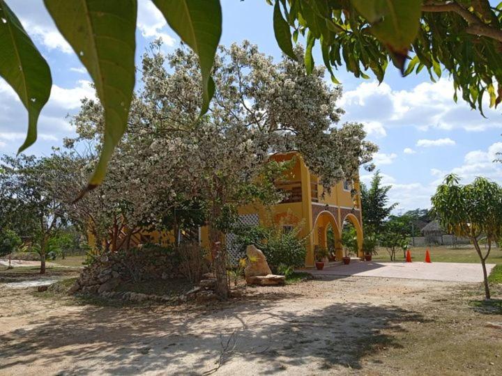Ecohotel Shalom Valladolid (Yucatan)