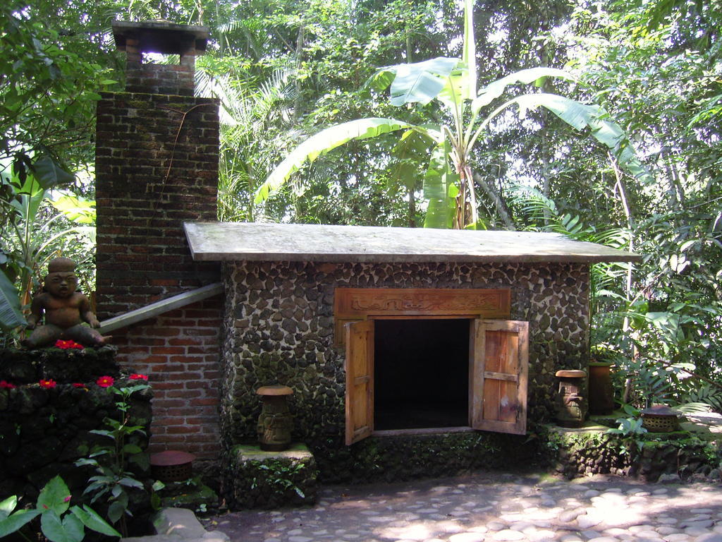 Reserva Ecologica Nanciyaga Catemaco