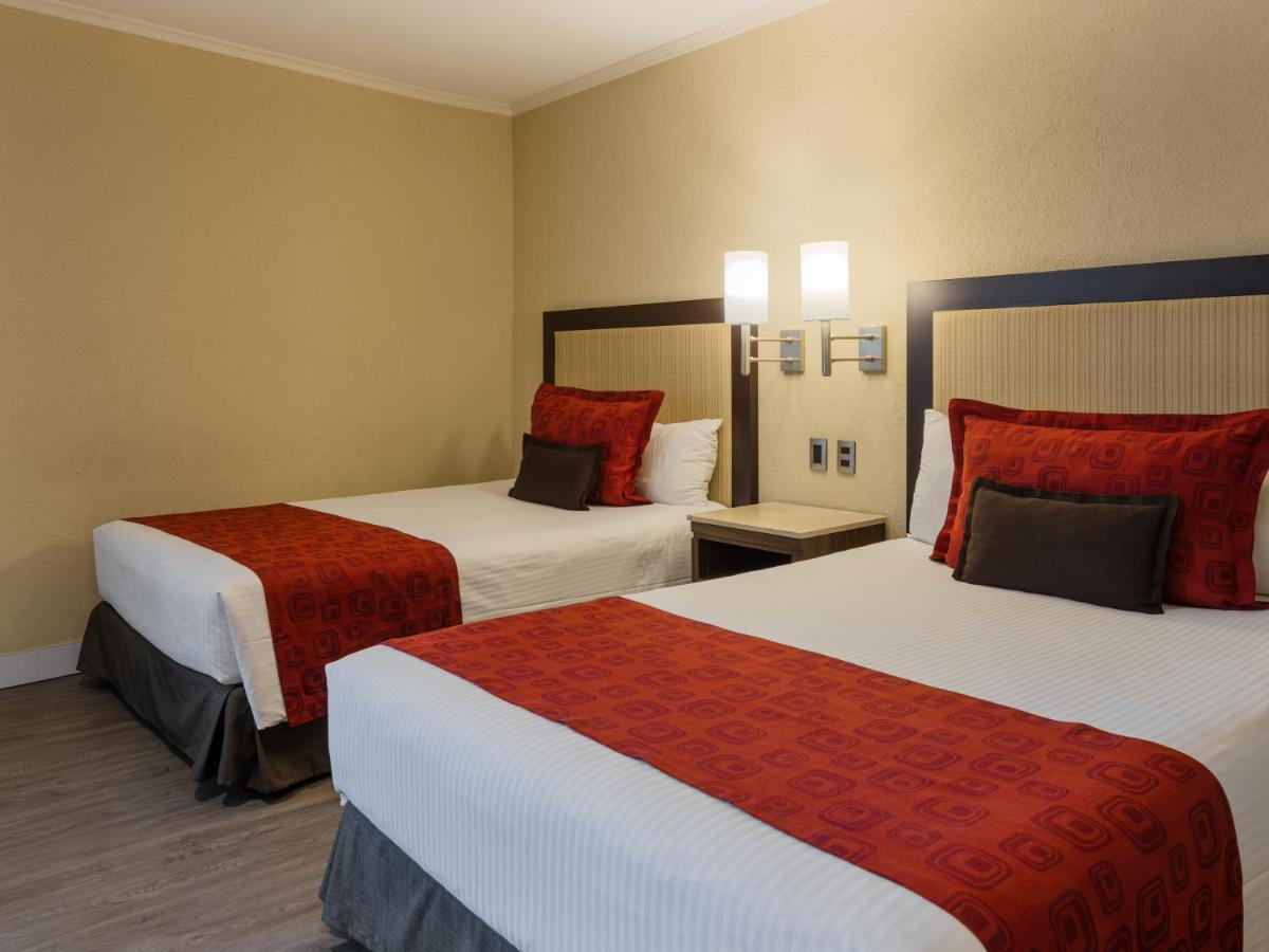 Exe Alameda Reforma Hotel 4*