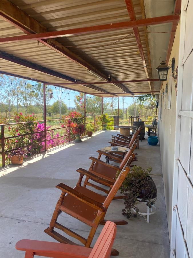 Rositas Valle de Guadalupe