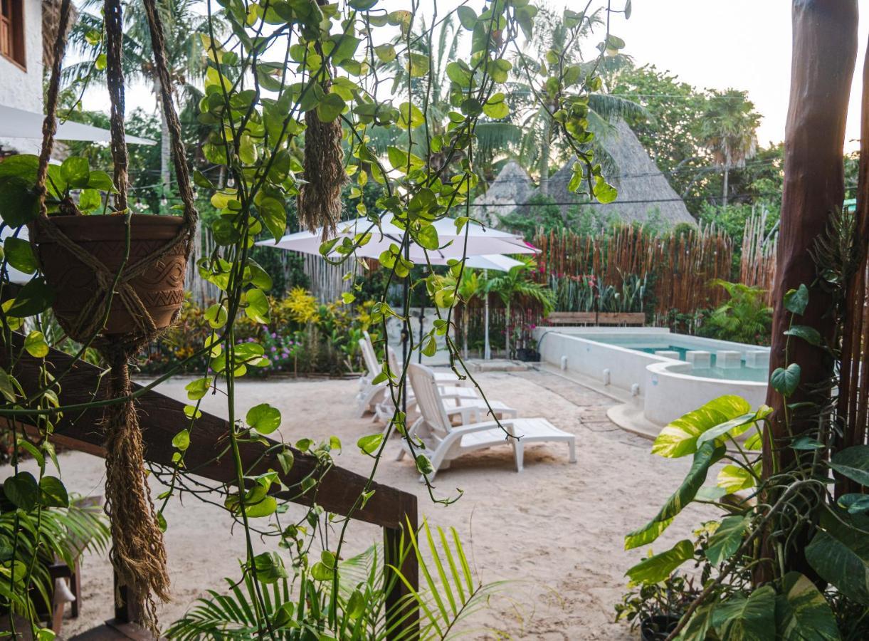 Arte Sano Only Adults - Near Hotel Isla Holbox