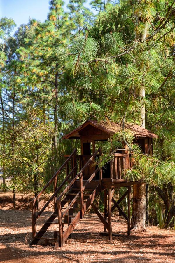 & Glamping Huasca Sierra Hotel *