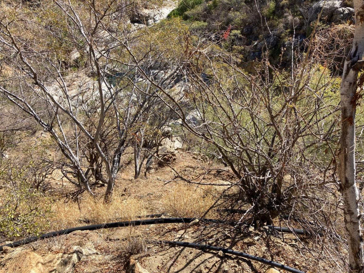 Rancho Buenavista *