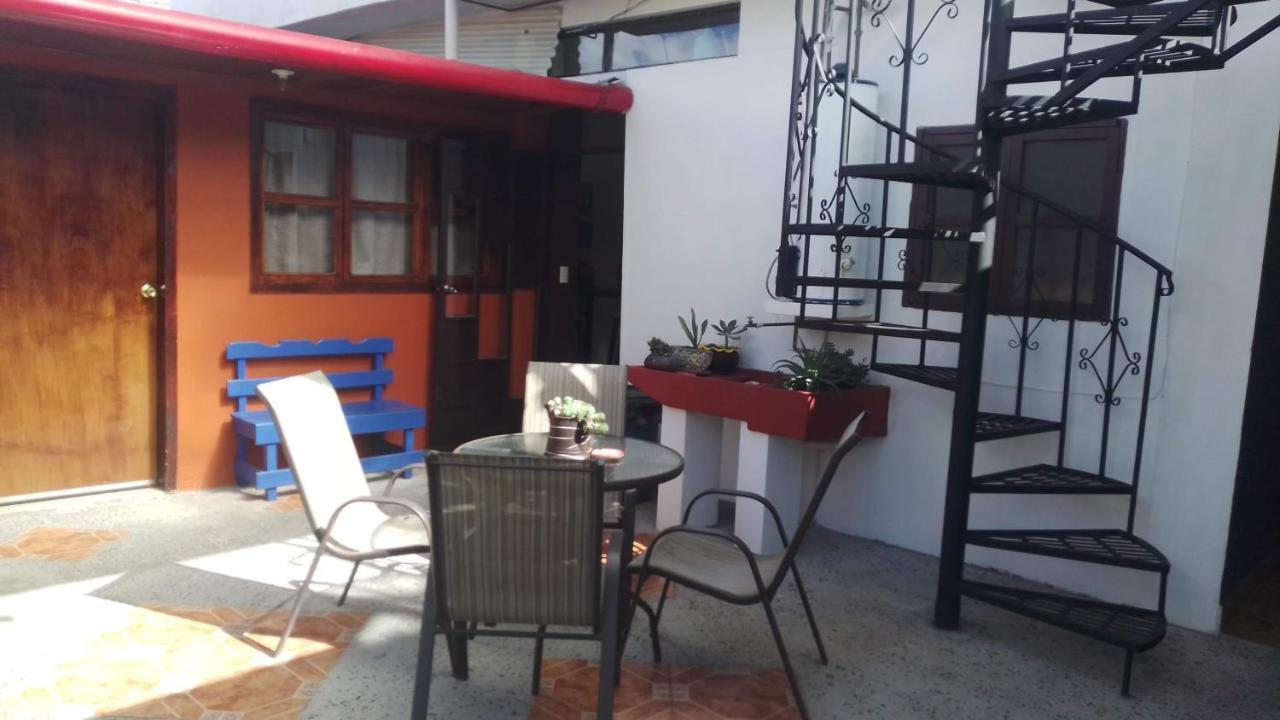 Guest house Casa Flor De Vida
