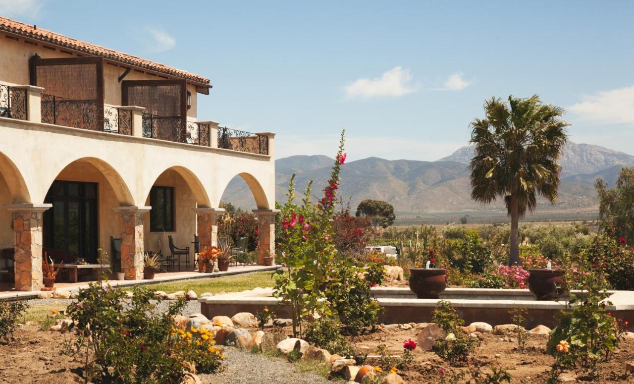 La Del Valle 3* Valle de Guadalupe