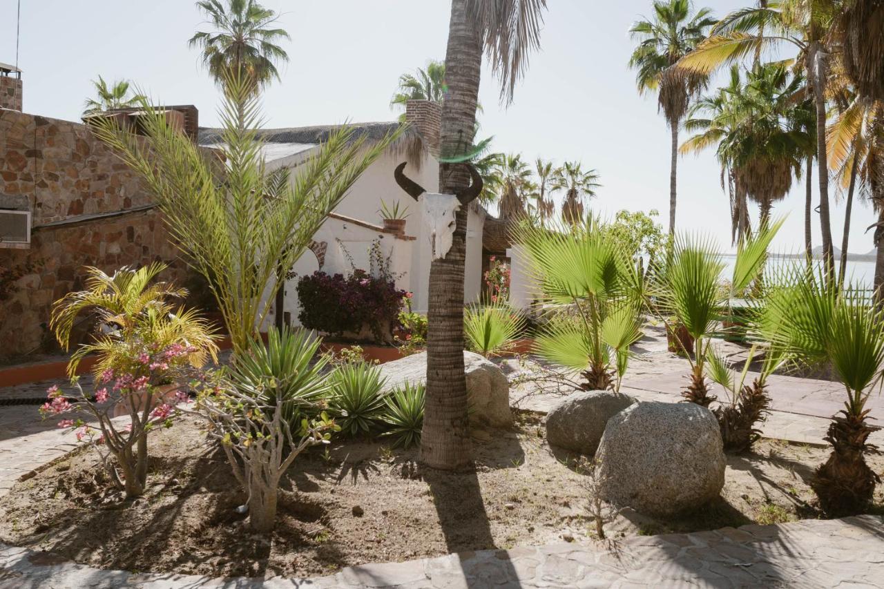 Rancho Buenavista Lodge Los Barriles