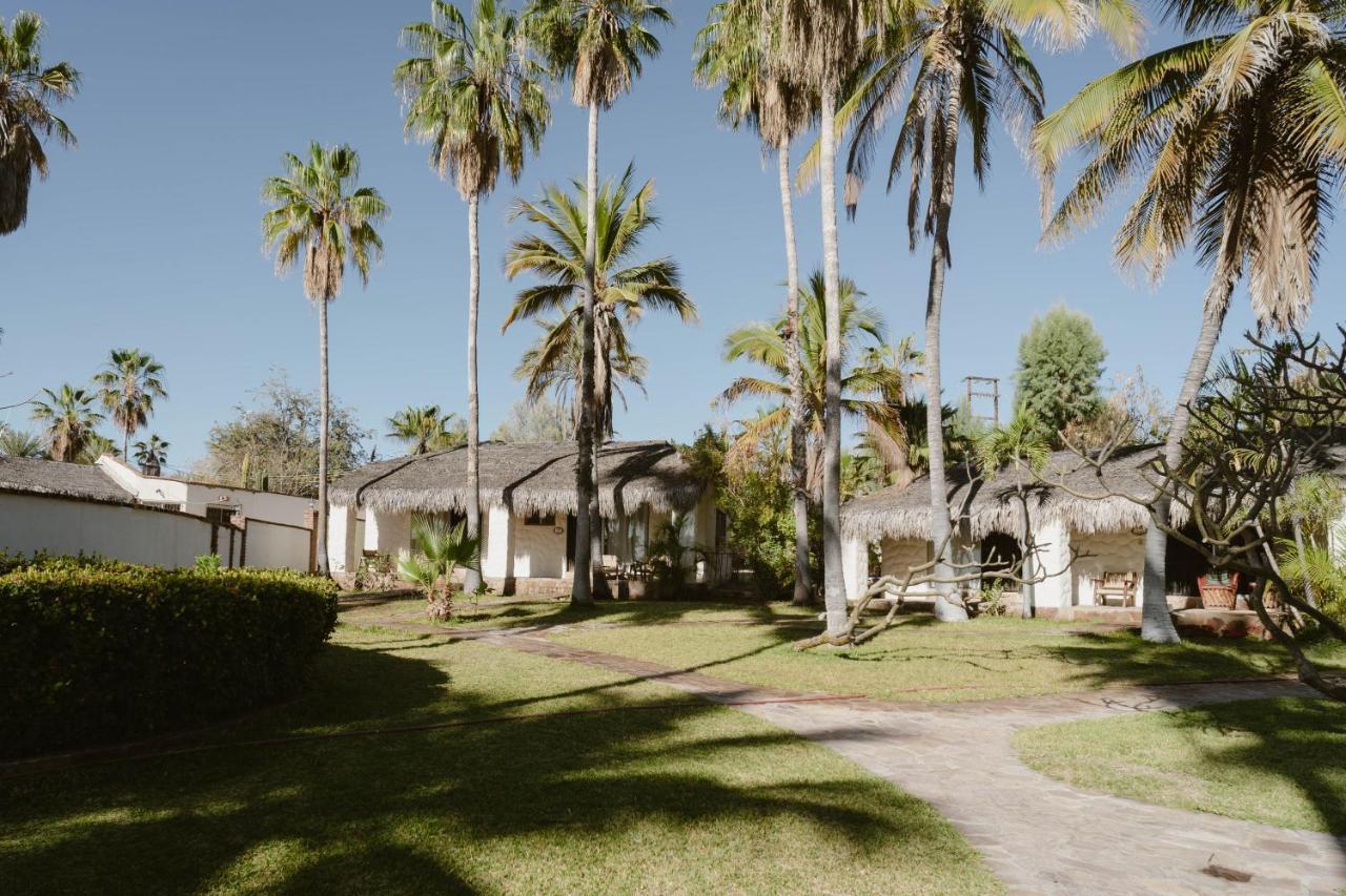 Rancho Buenavista * Los Barriles