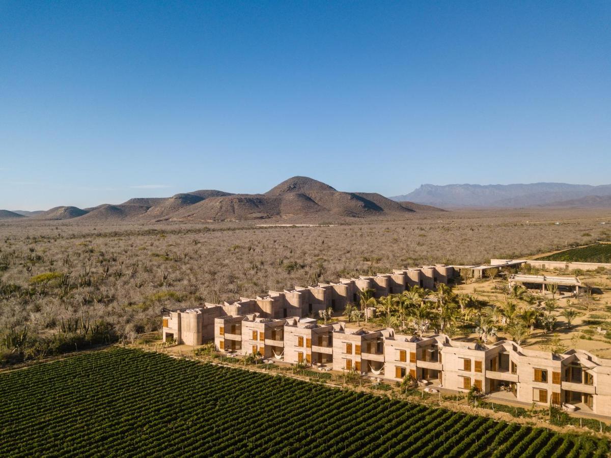 Hotel Paradero - Exclusive Experiences Included