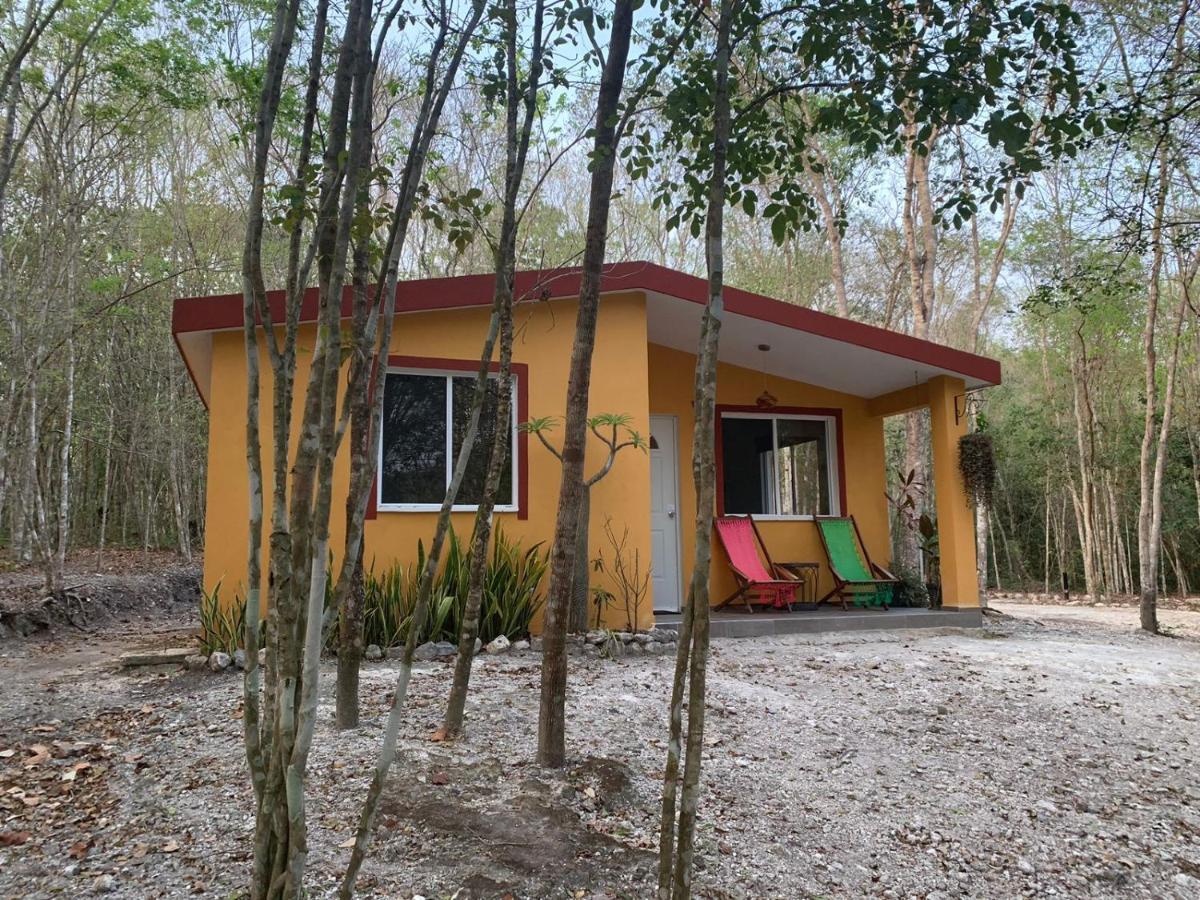 Casa Kaan Calakmul Xpujil