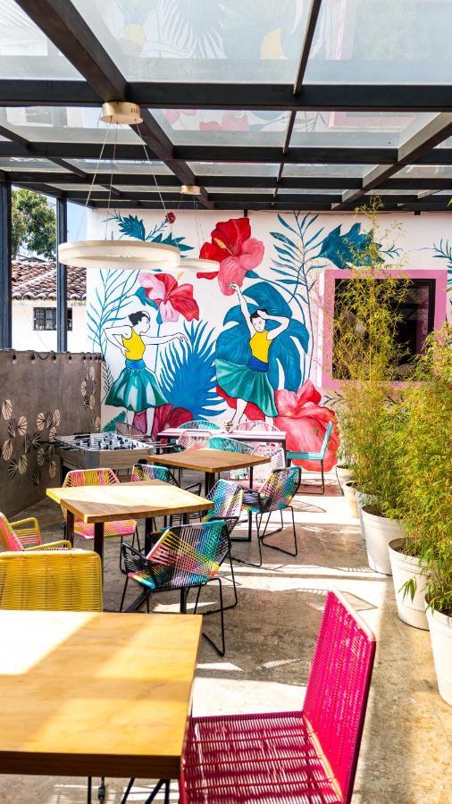Suculenta Boutique San Cristobal de las Casas