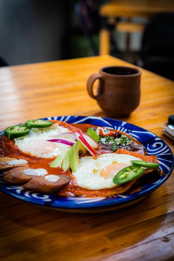 Suculenta Boutique 3* San Cristobal de las Casas