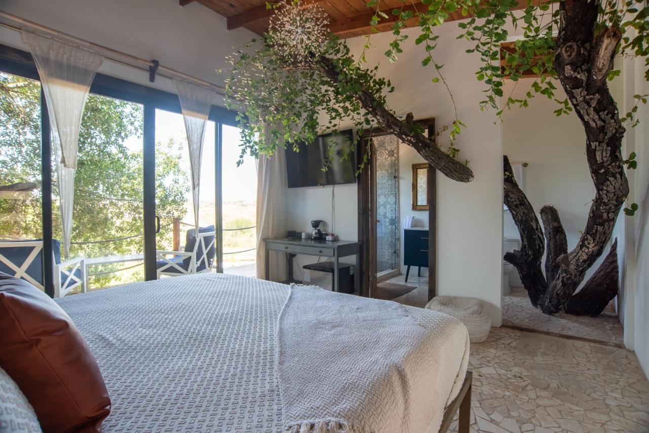 Boskenvid Boutique, Skypool Hotel Valle de Guadalupe