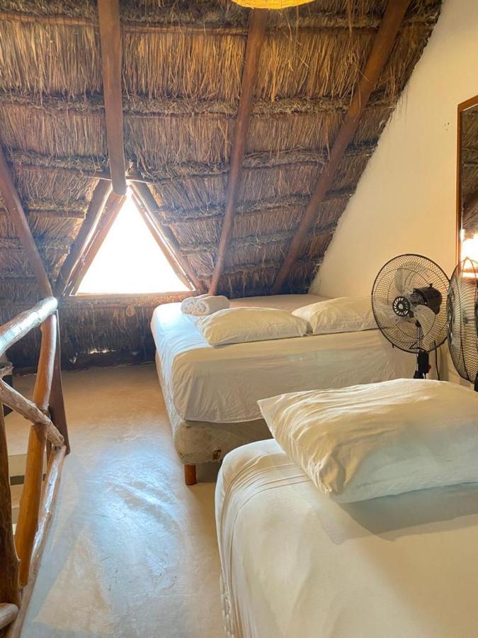 La Constanza De Rulo Isla Holbox