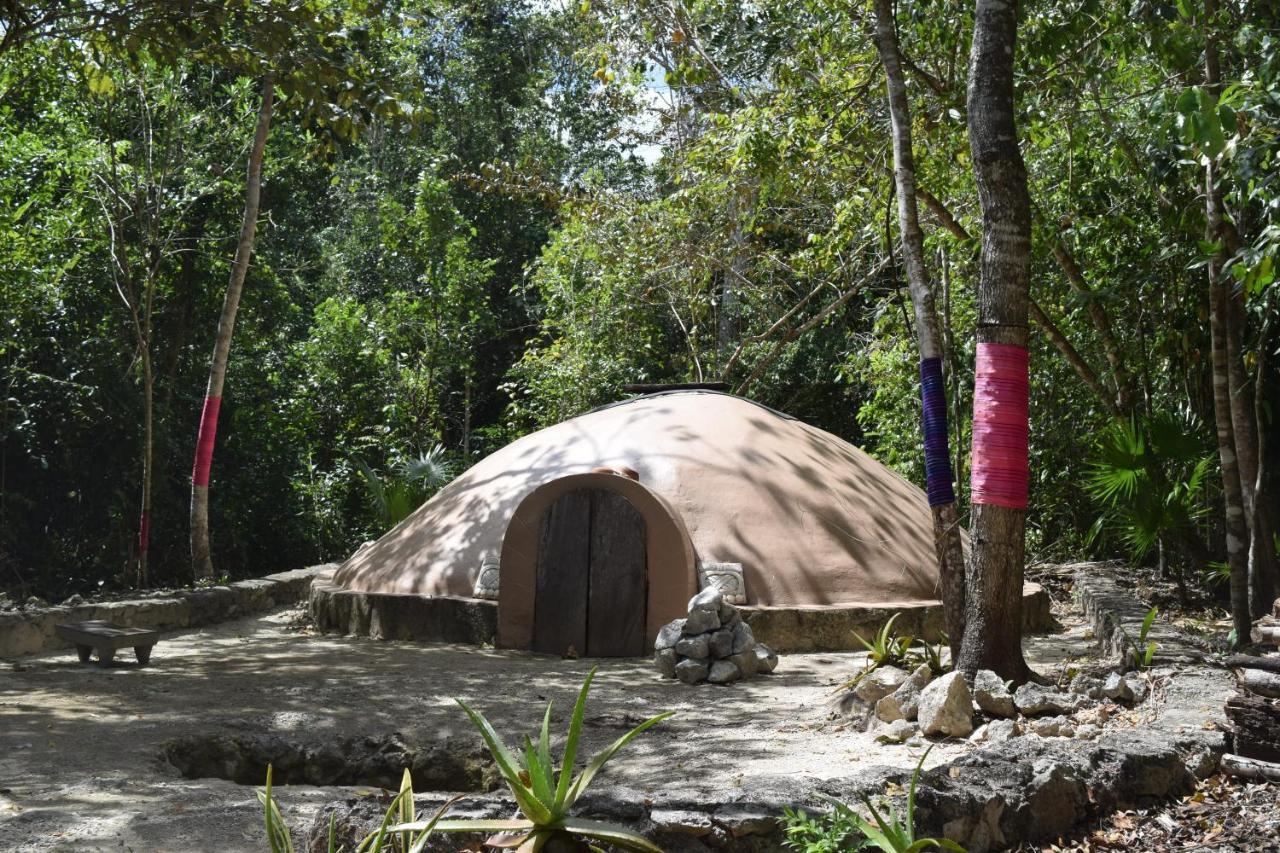 Jolie Jungle Eco (adults Only)