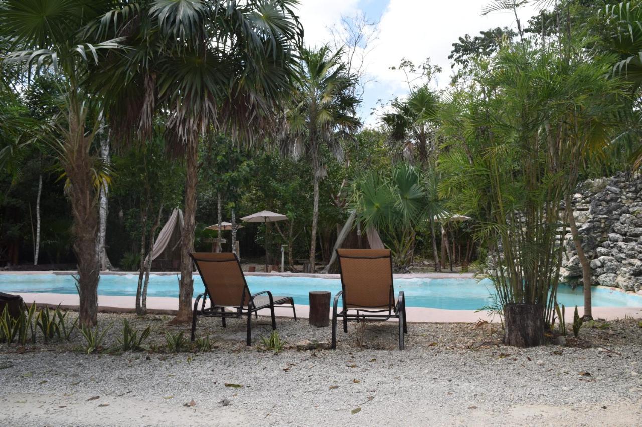 Jolie Jungle Eco (adults Only) Hotel Leona Vicario