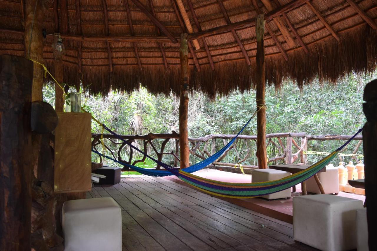 Jolie Jungle Eco (adults Only) Hotel Leona Vicario