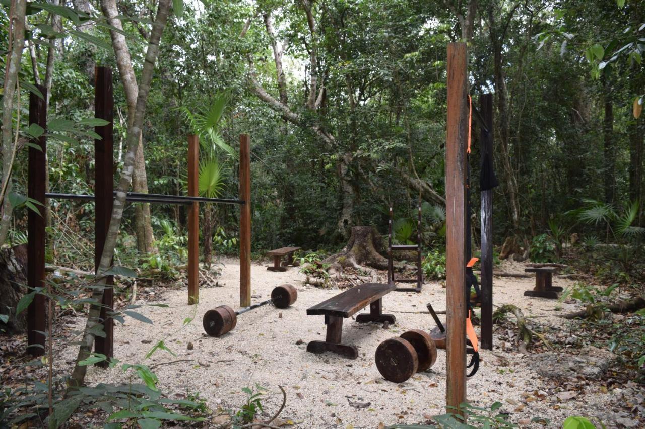 Jolie Jungle Eco (adults Only)