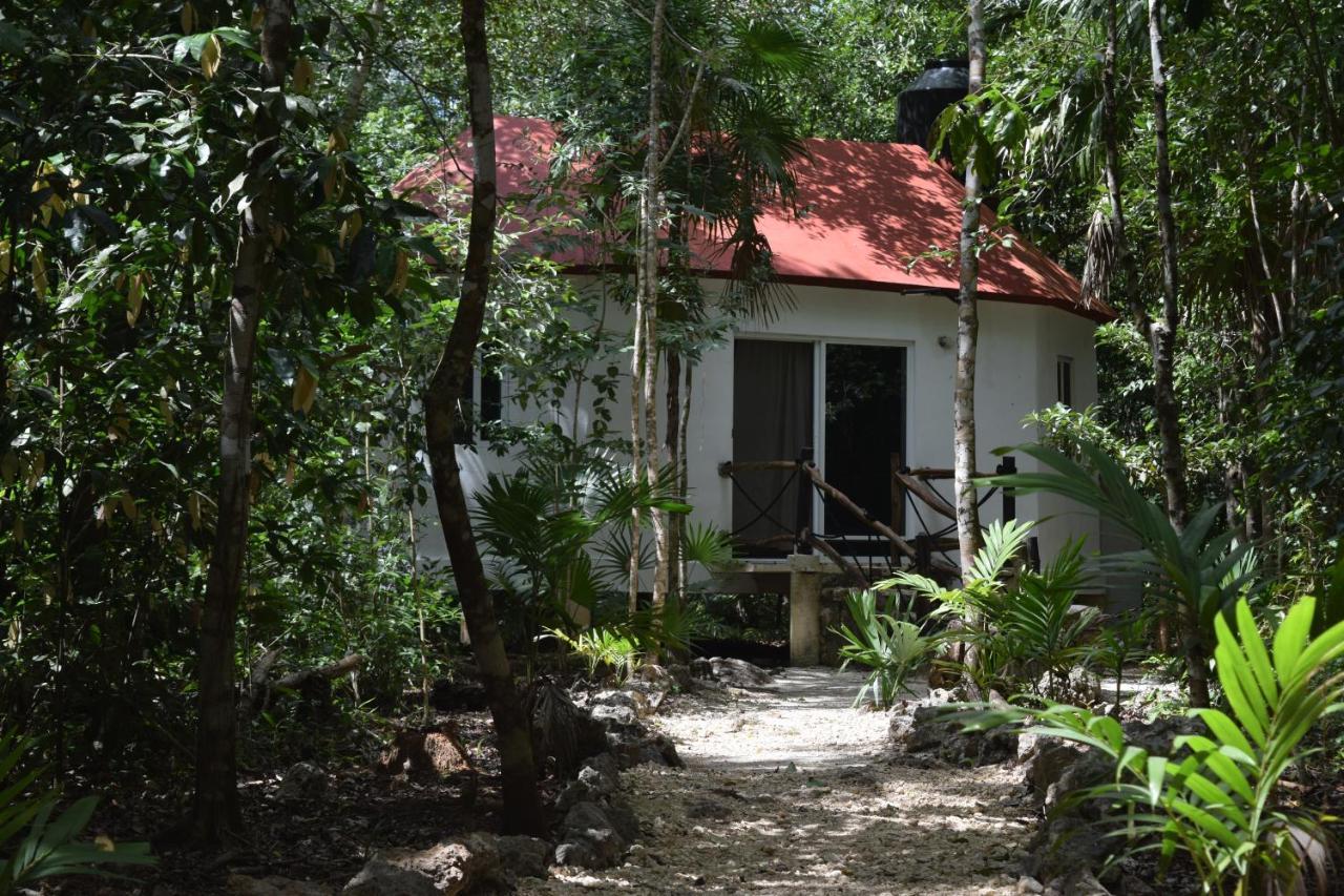 Jolie Jungle Eco (adults Only) 3*