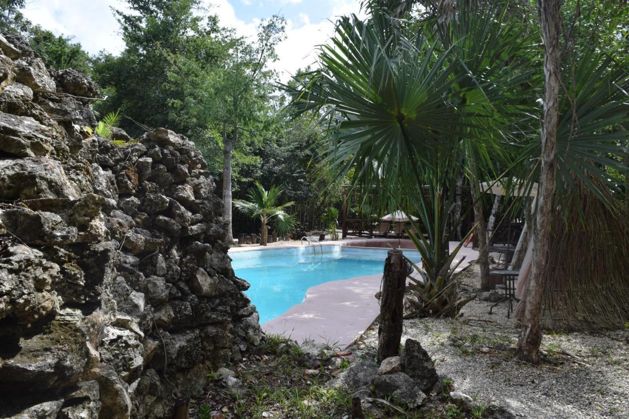 Jolie Jungle Eco (adults Only)