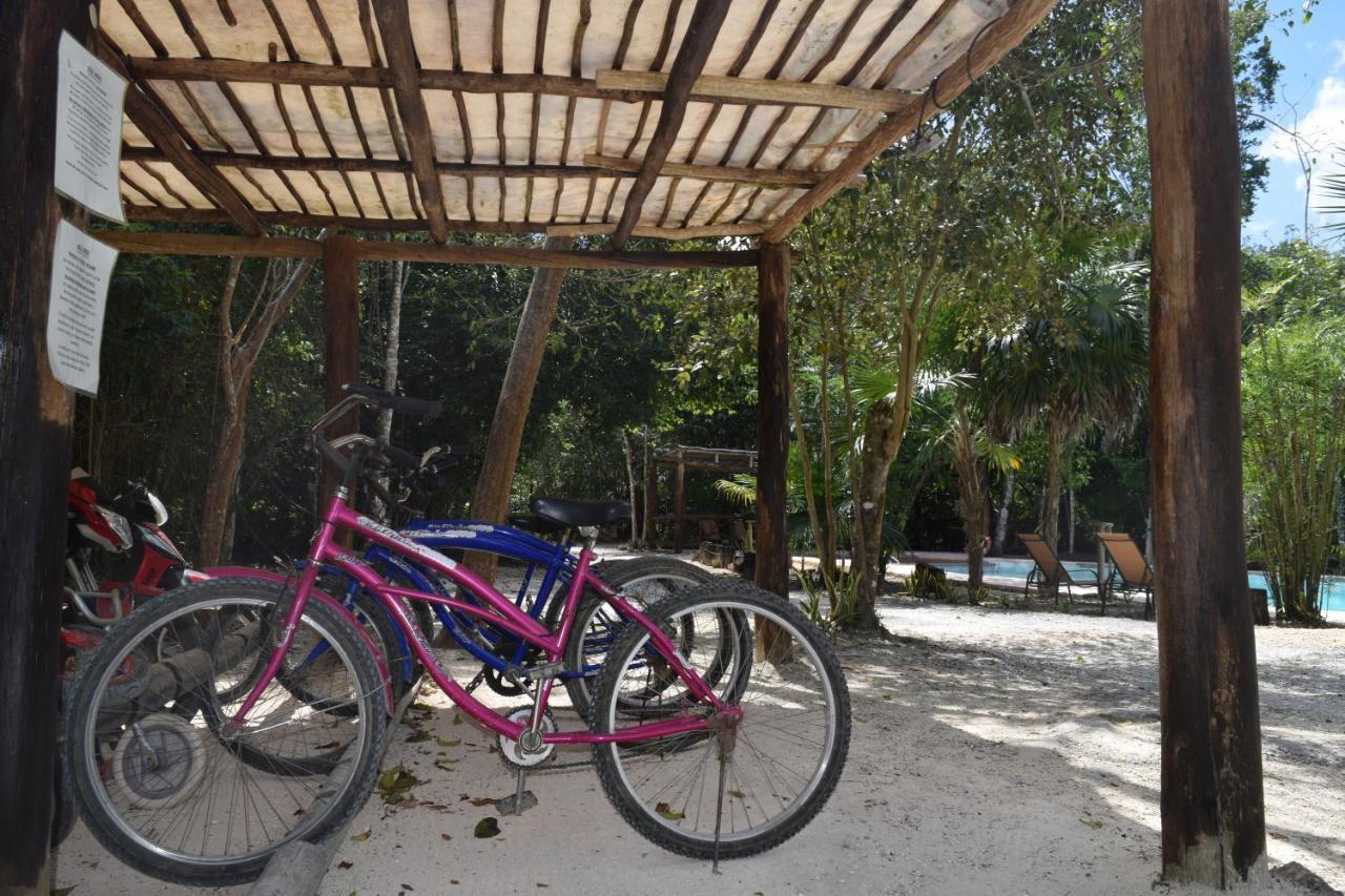 Jolie Jungle Eco (adults Only) 3*